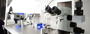 IVF clinic in Chennai