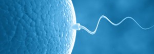 ivf bangalore
