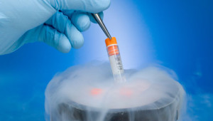 embryo donation in India